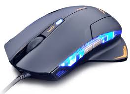 souris mazer