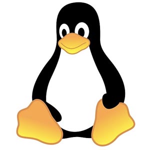 Meilleur VPN Linux