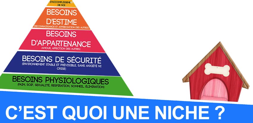 Qu'est-ce qu'une niche ?
