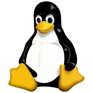 Hébergement Linux