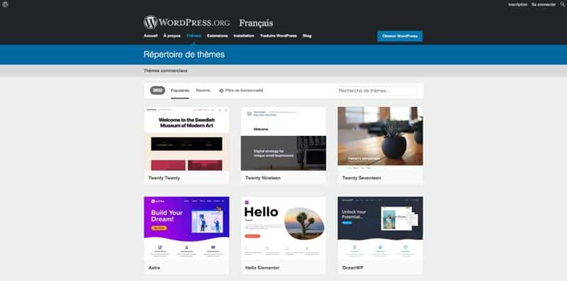 WordPress Thèmes
